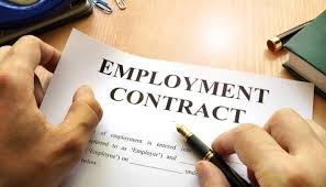 Everything You Need to Know About Employment Contracts: Do You Really Need One?